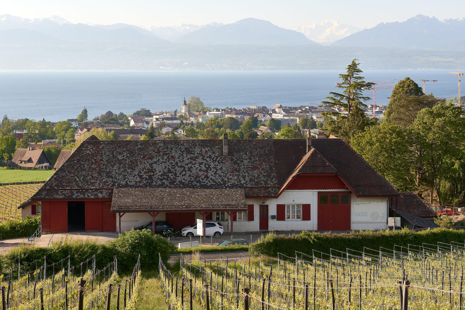 Domaine  Les Trois Terres