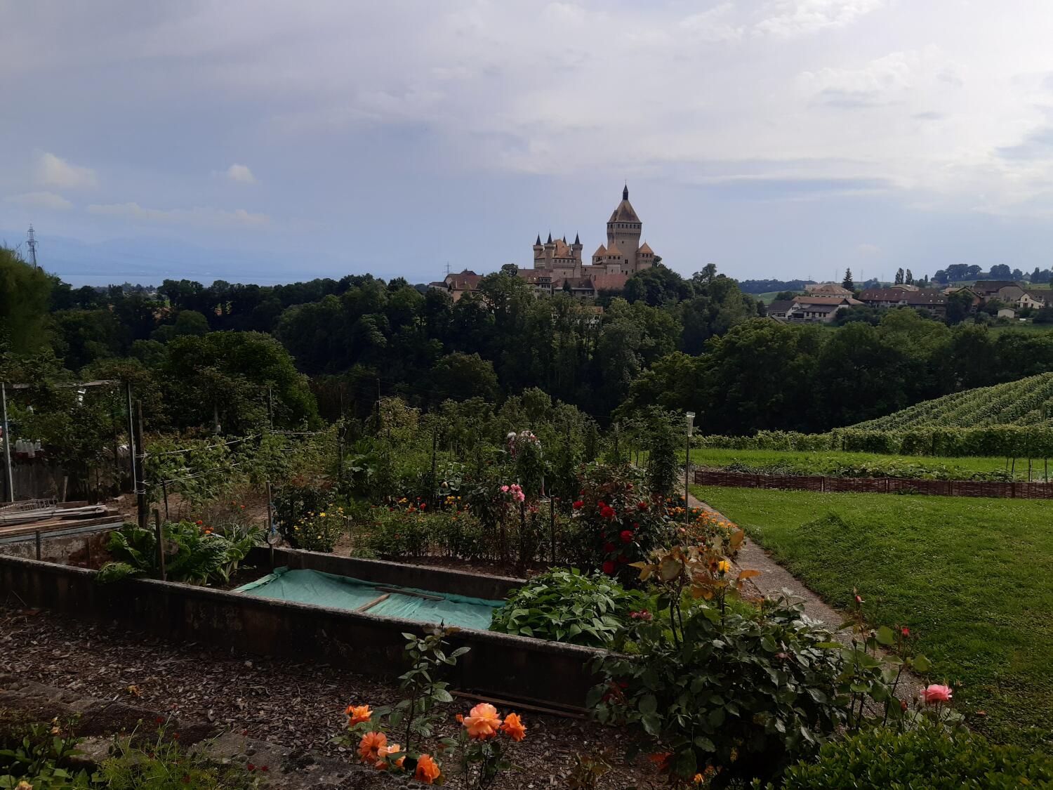 Domaine Les Tilleuls