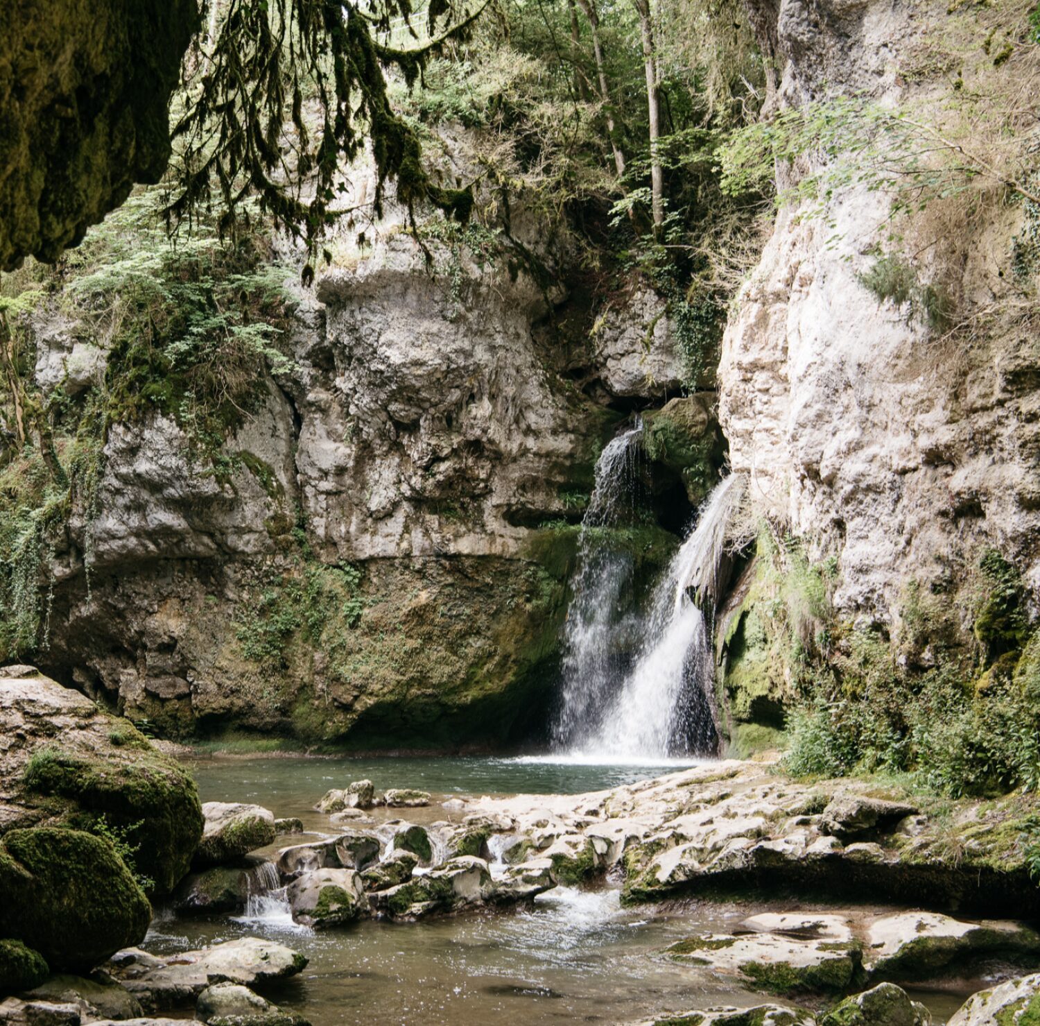 Tine de Conflens