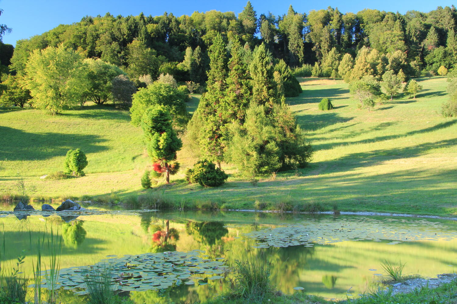 Parcs, jardins & forêts
