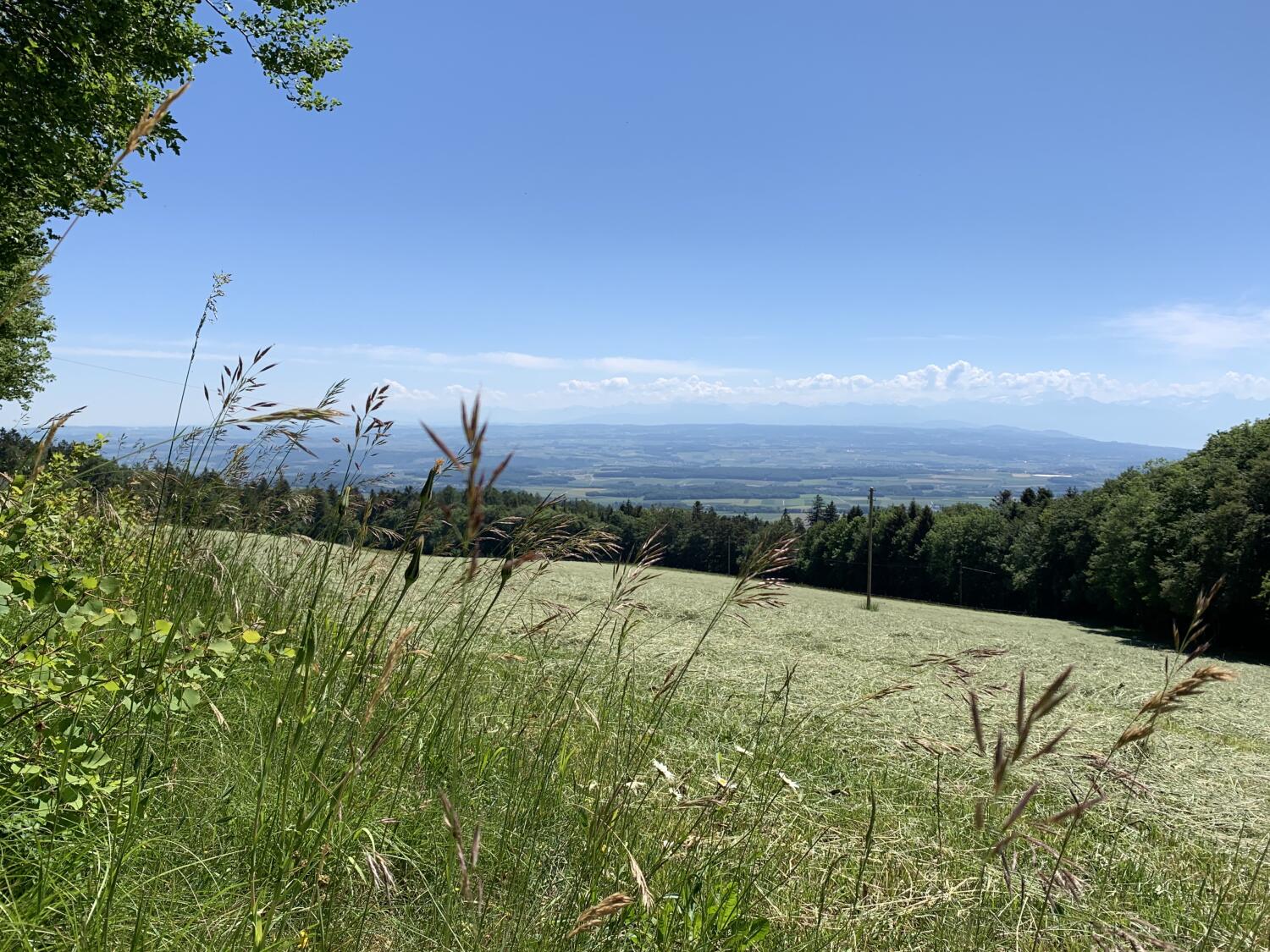 Sentier de l’Abri Freymond