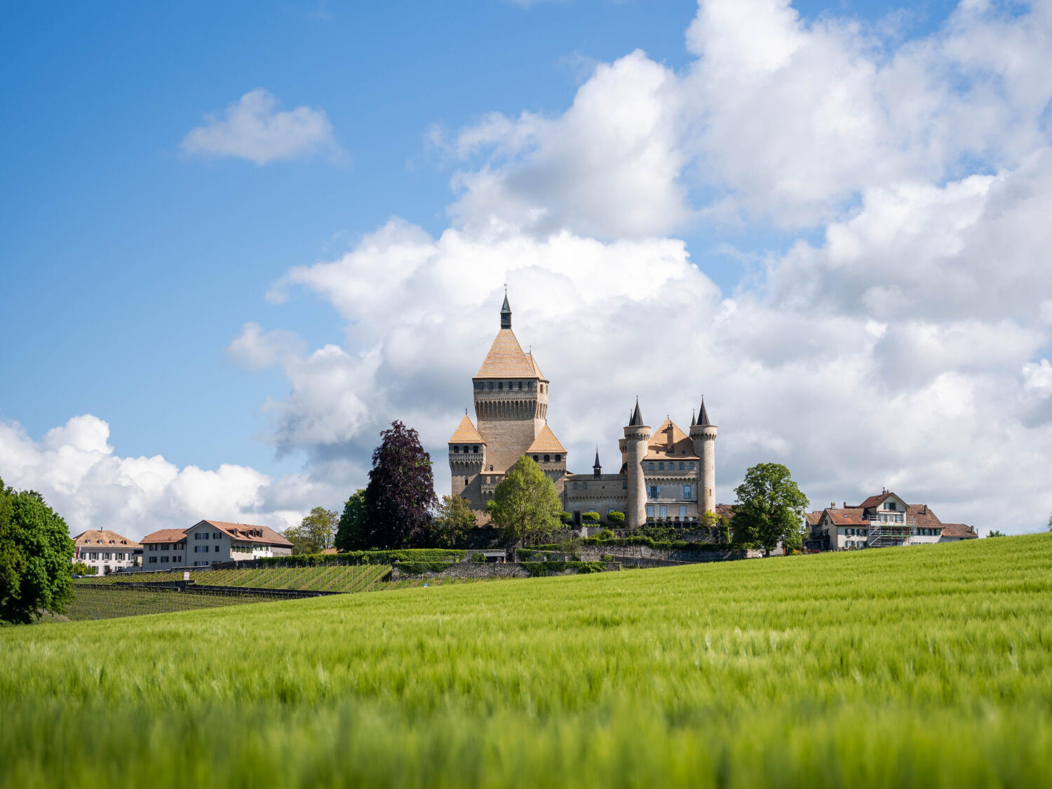 Parcours en trottinette électrique – Tour du vignoble
