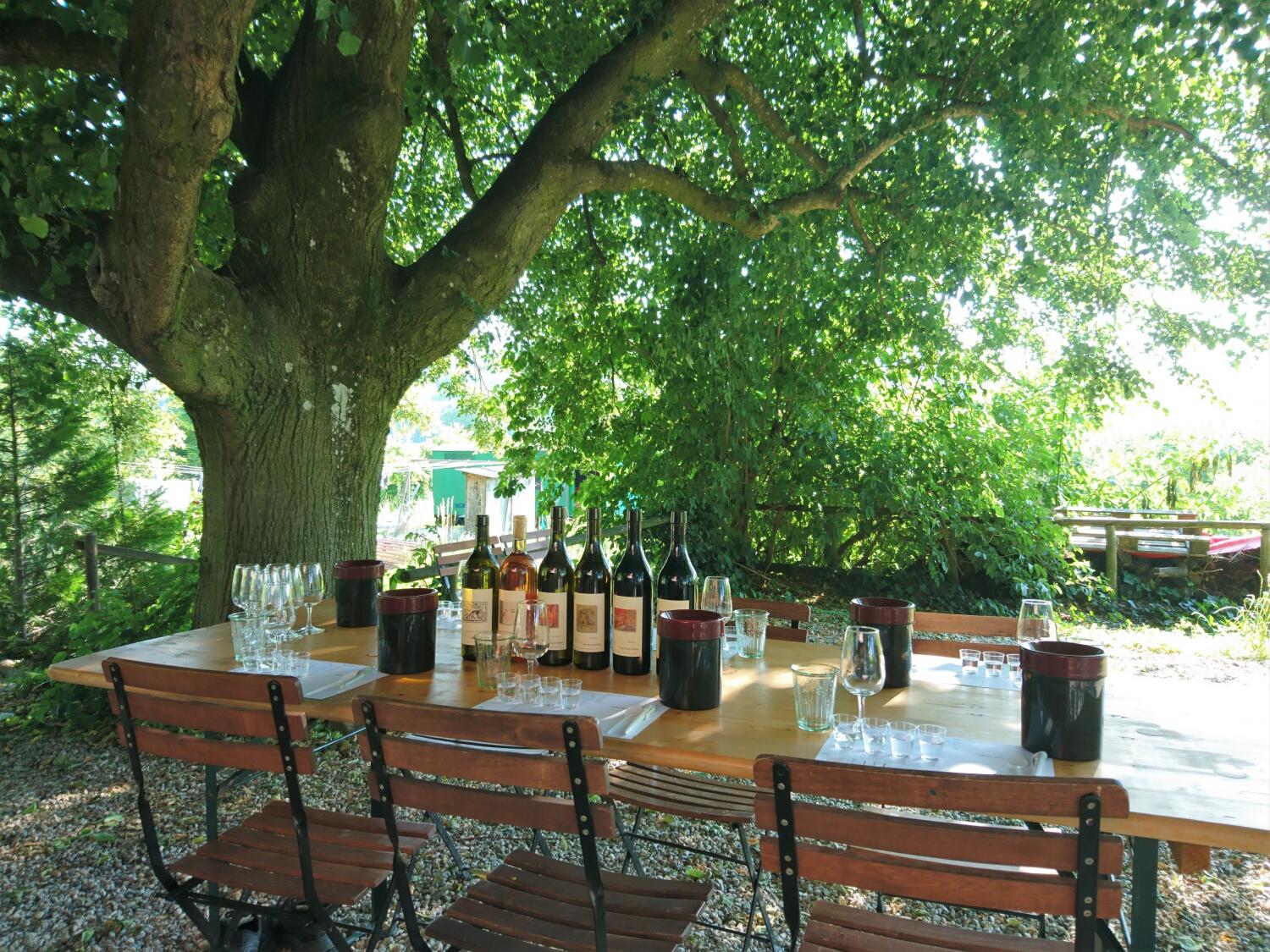 VinoHelp – Introduction to wine tasting