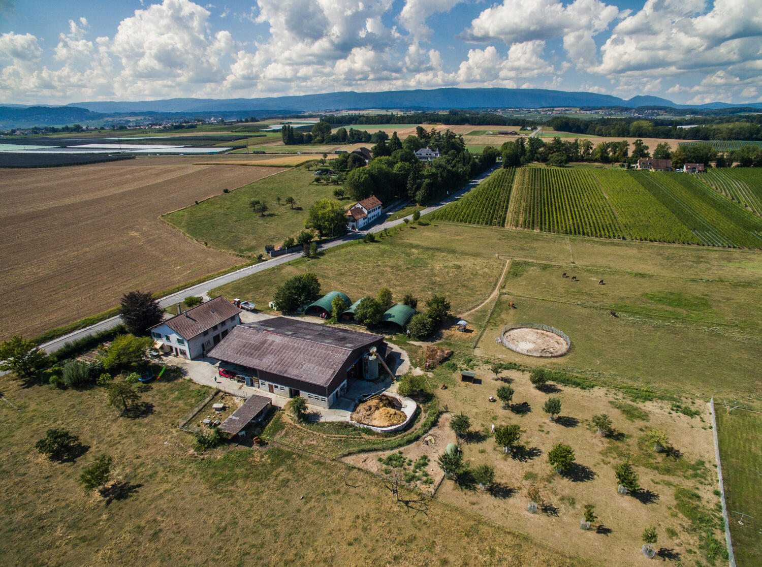 Visit to the Morand Farm
