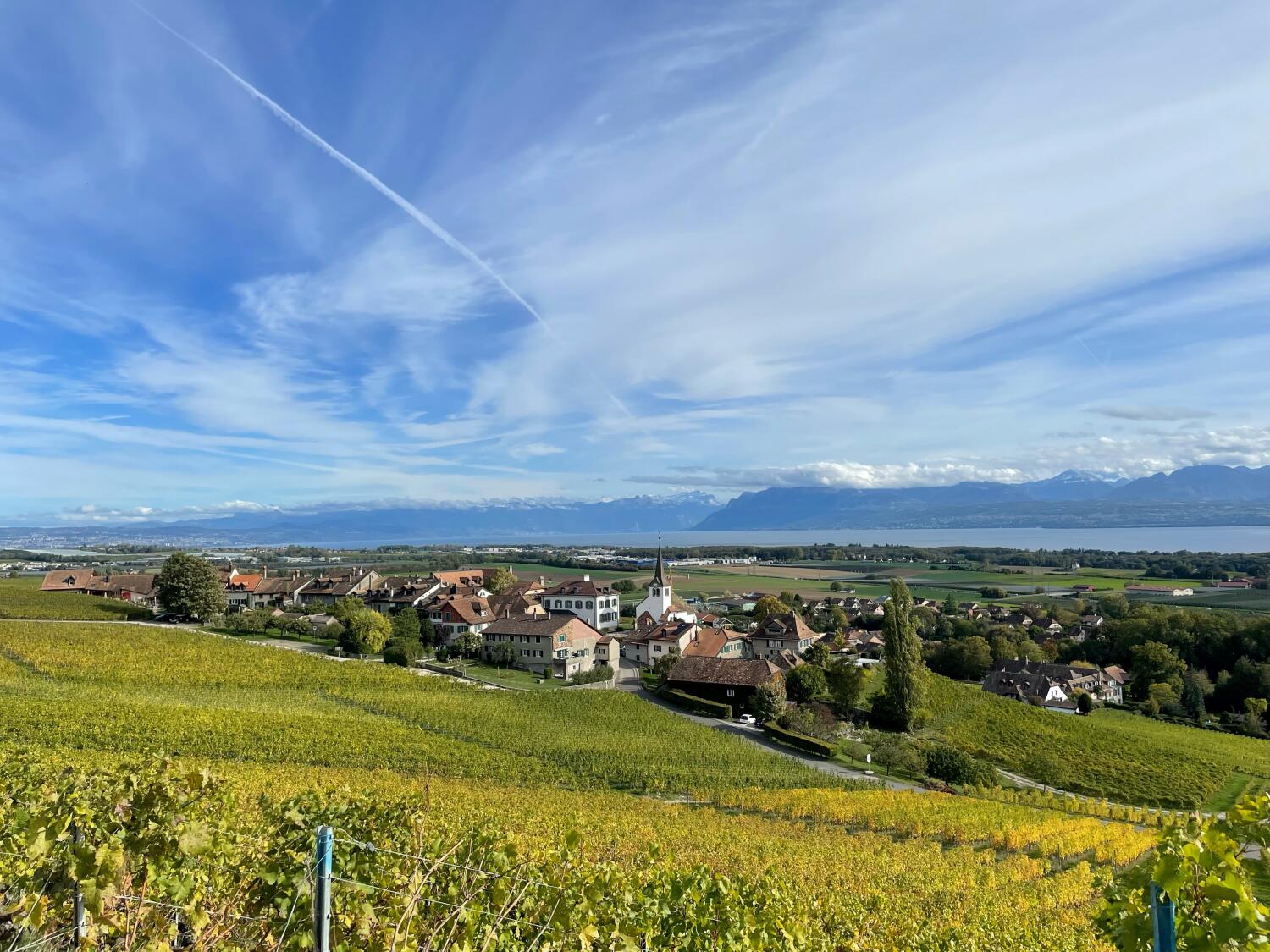 La “Balade des Capites” mit dem Kit rando-terroir