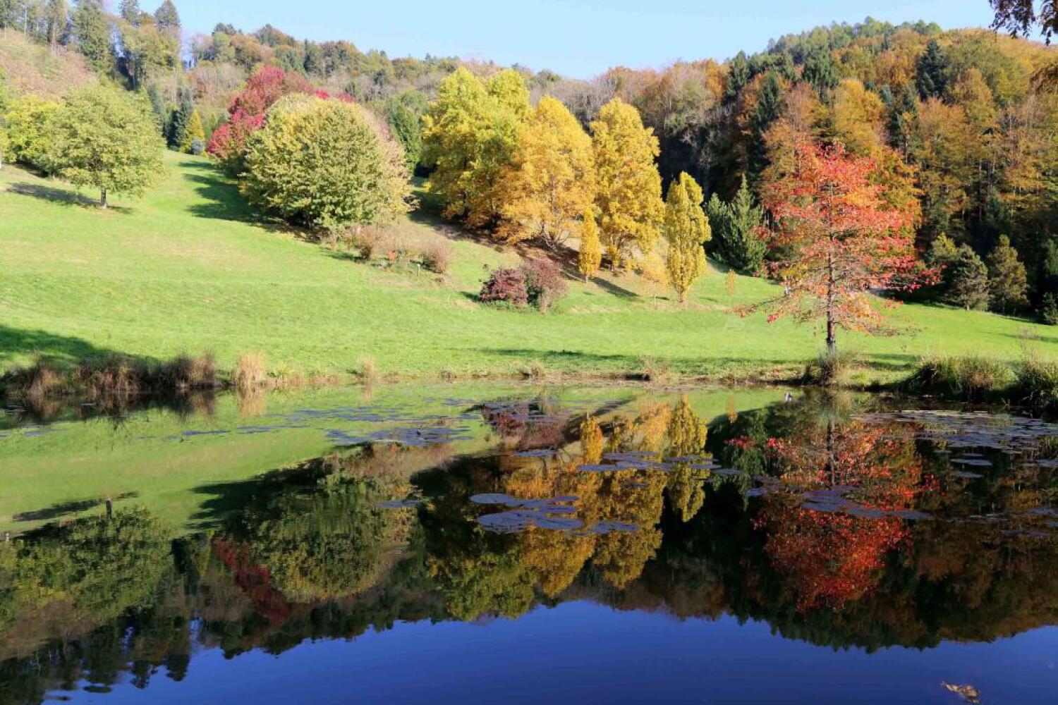Les Sentiers de l’Arboretum