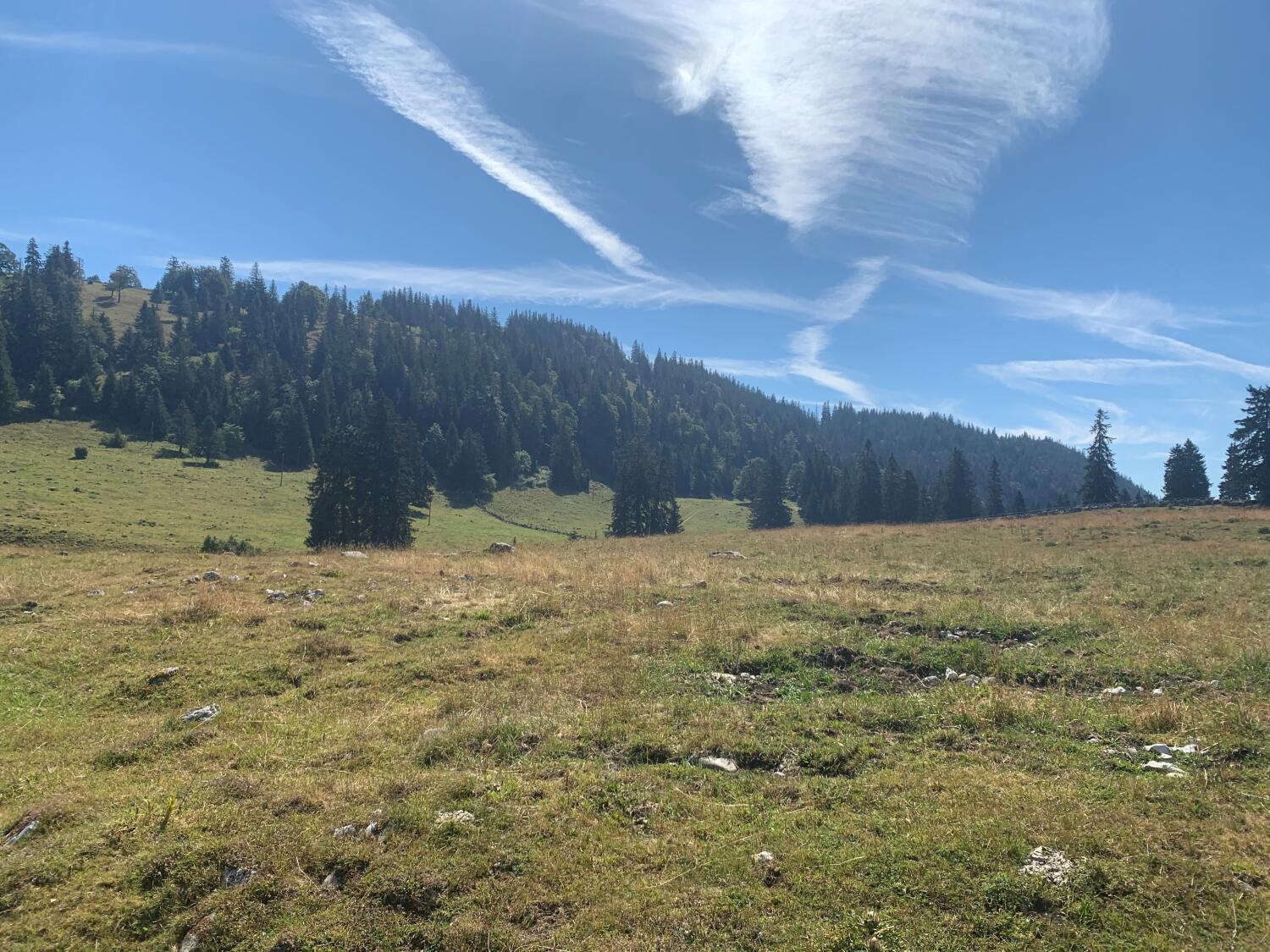Traversée Marchairuz – Mollendruz