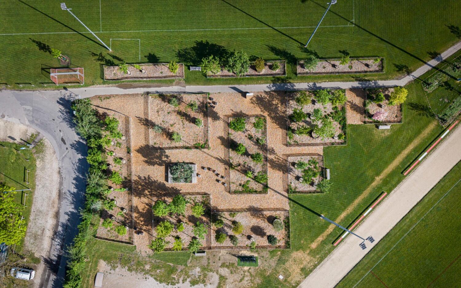 Balade des arbres à Morges: Parc des Sports et Parc de l’Indépendance