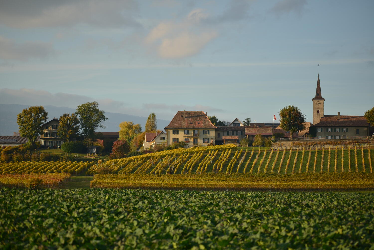 Les communes du district de Morges