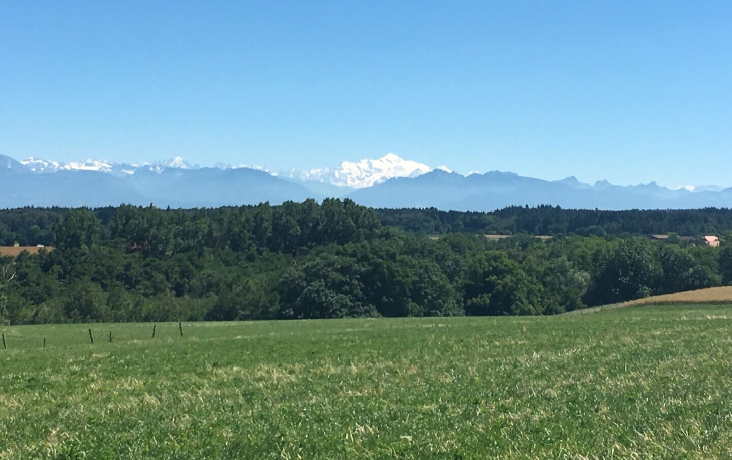 Paysage de pâturages verdoyants avec une vue dégagée sur le Mont-Blanc et les Alpes enneigées à l’horizon.