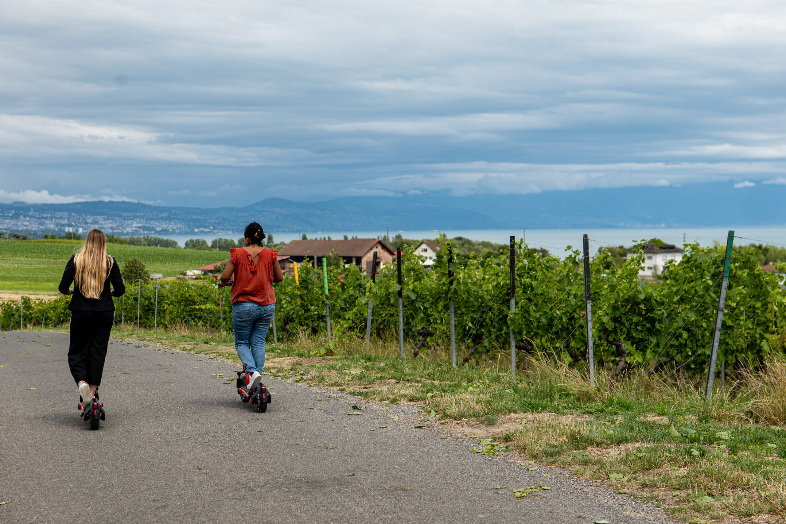 Deux personnes font de la trottinette sur une petite route de campagne, entre des vignes, sous un ciel nuageux.