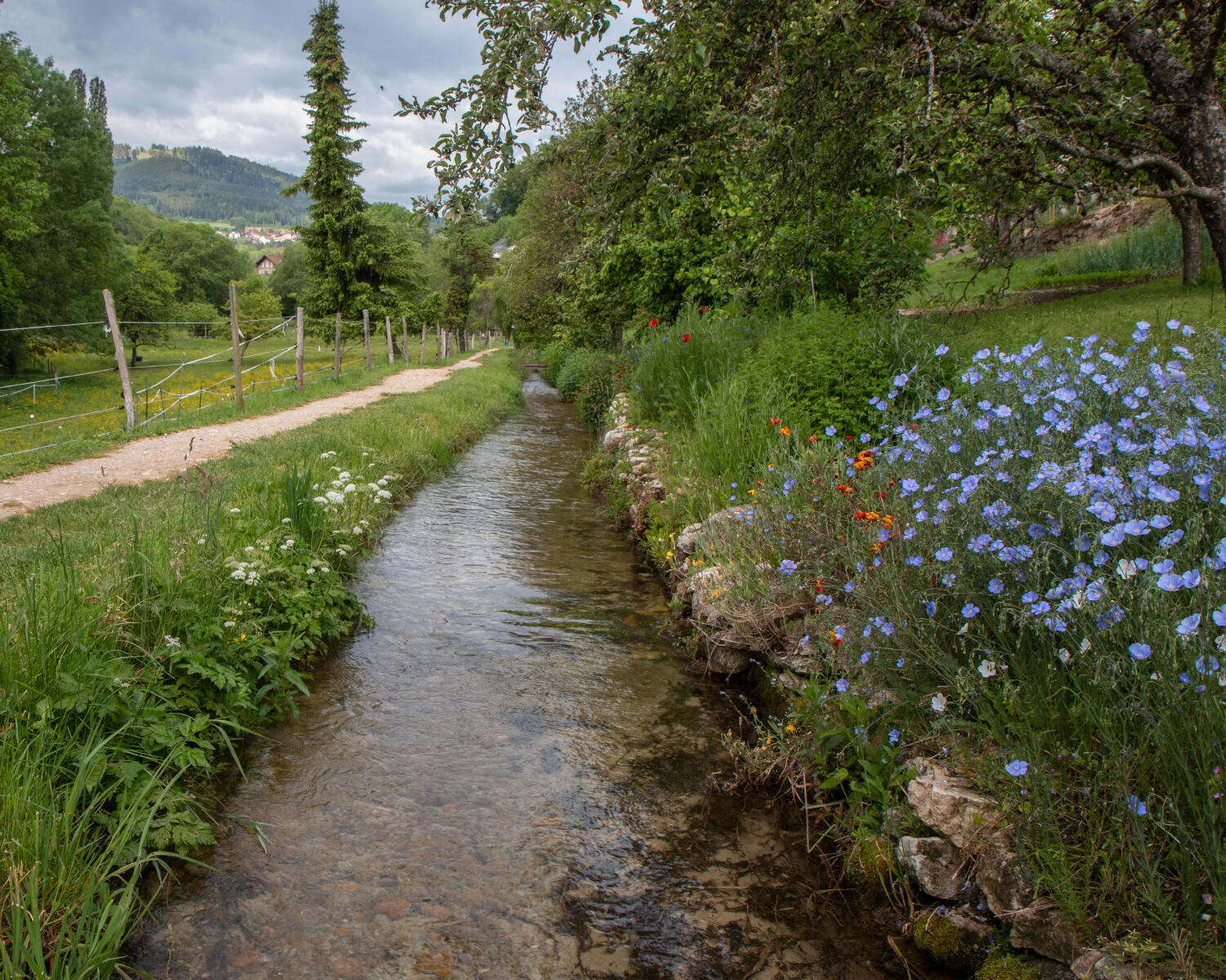 Sentier du patrimoine de Romainmôtier
