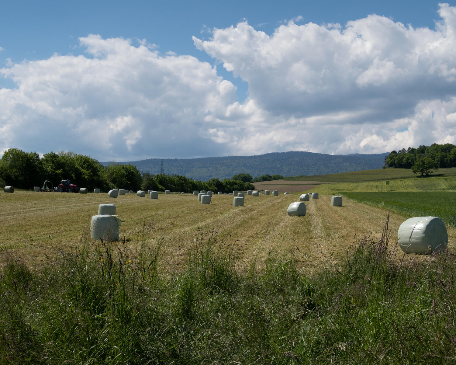 Chemin du Vallon de l’Aubonne