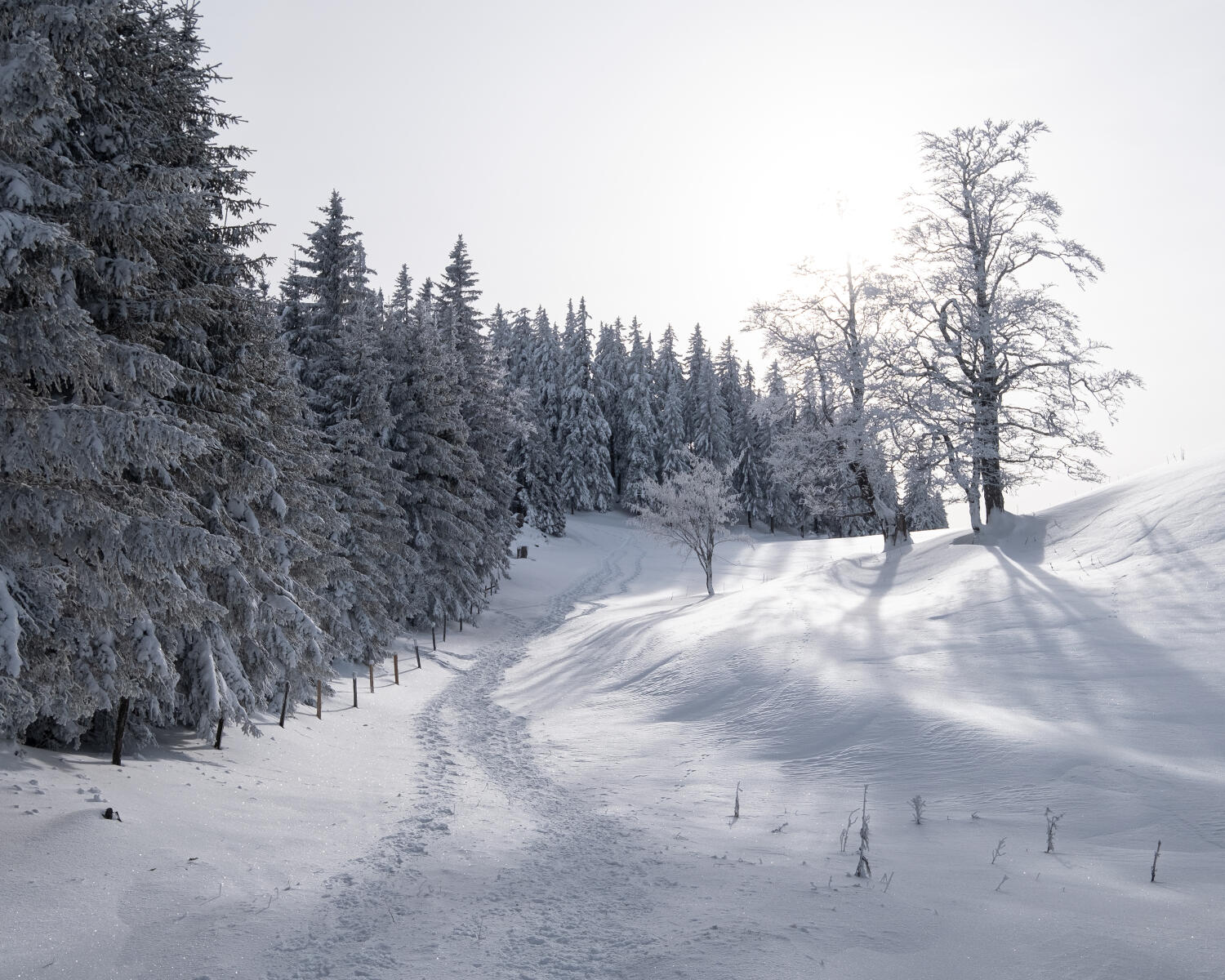 Parcours Col du Mollendruz–Châtel