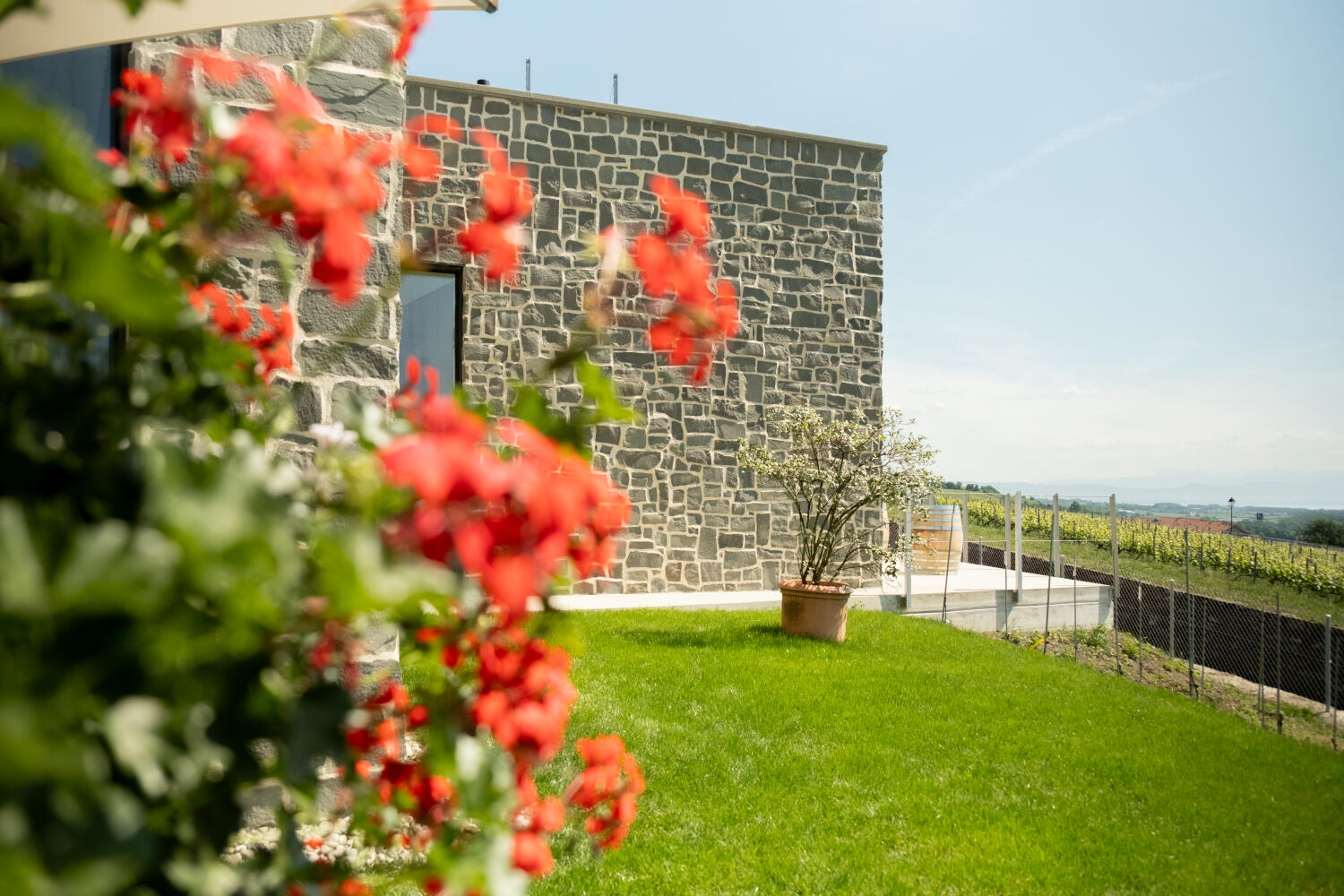 Das Maison des Vins de La Côte
