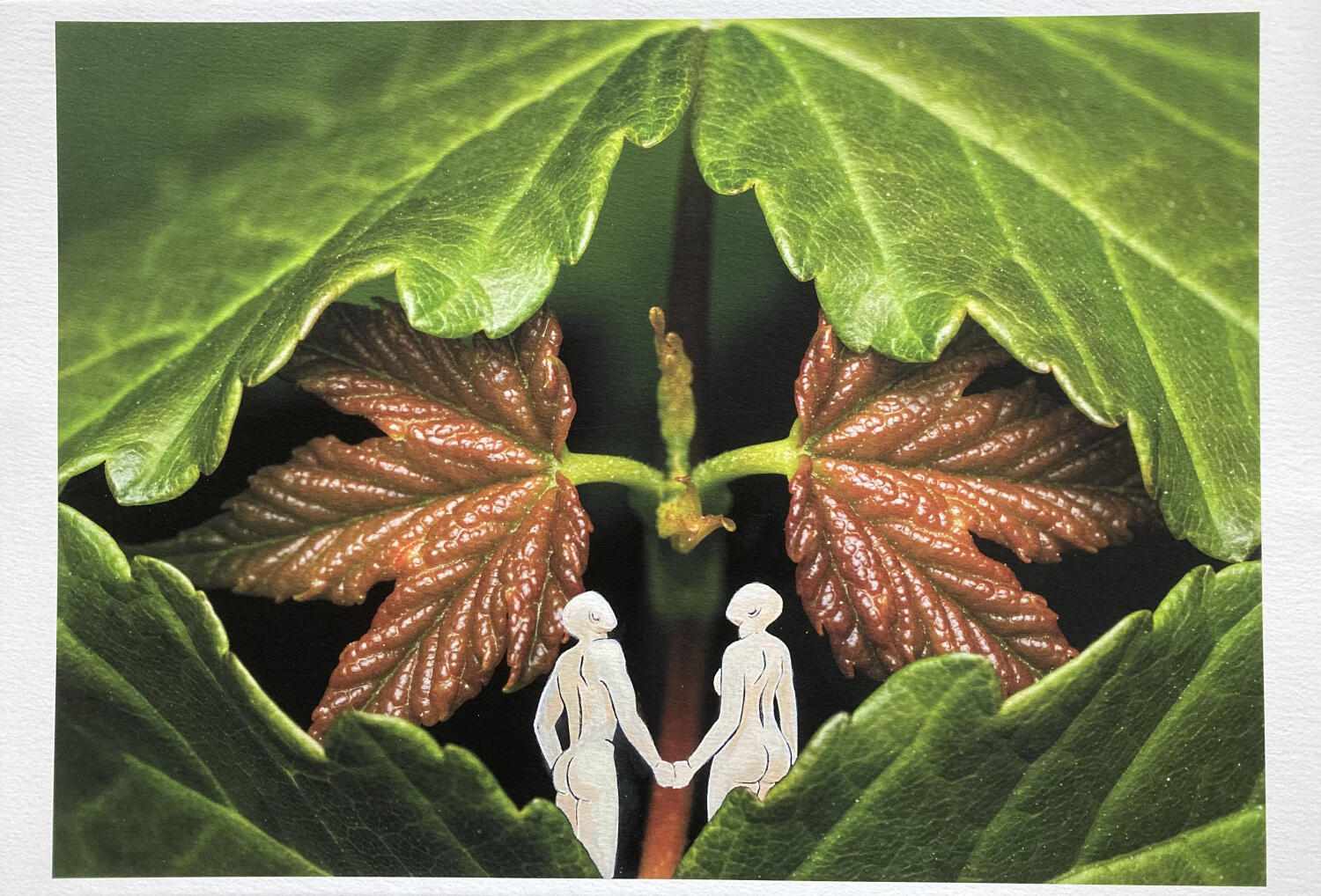 EXPOSITION PHOTOS ET PEINTURES “AU COEUR DE NOS ARBRES”