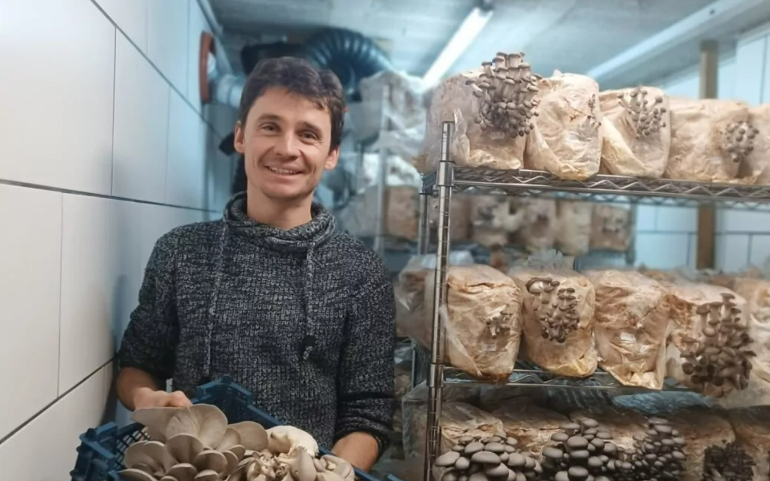 Mycologie à la maison : Du mycélium à l’assiette