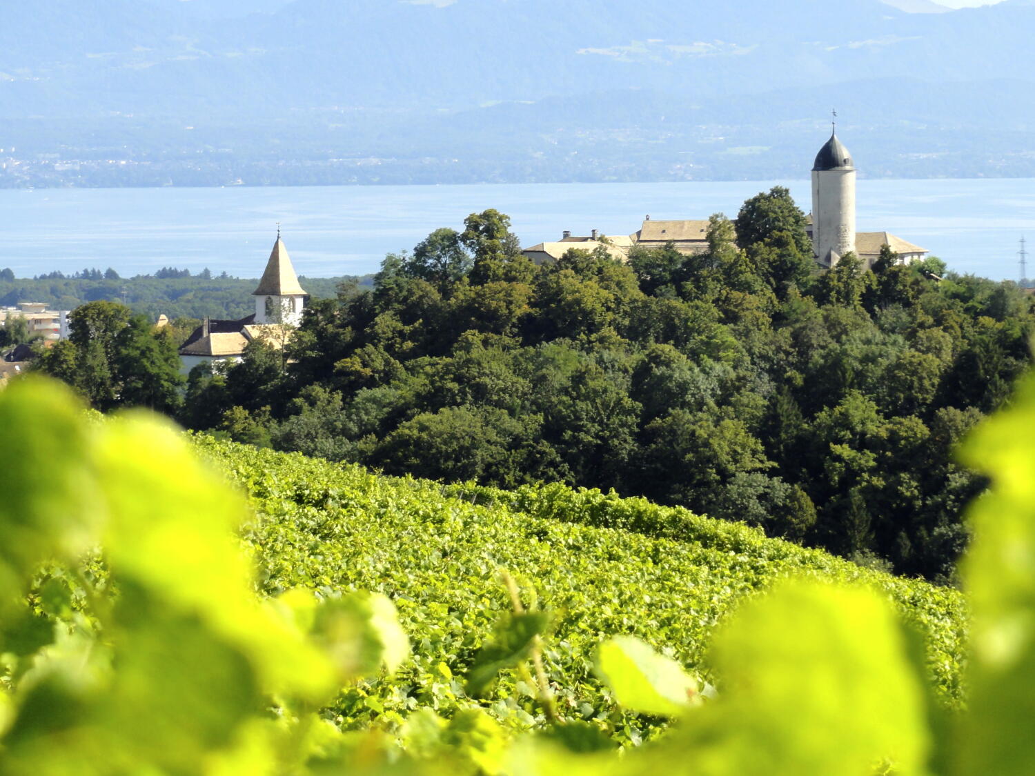 Visites d’Aubonne