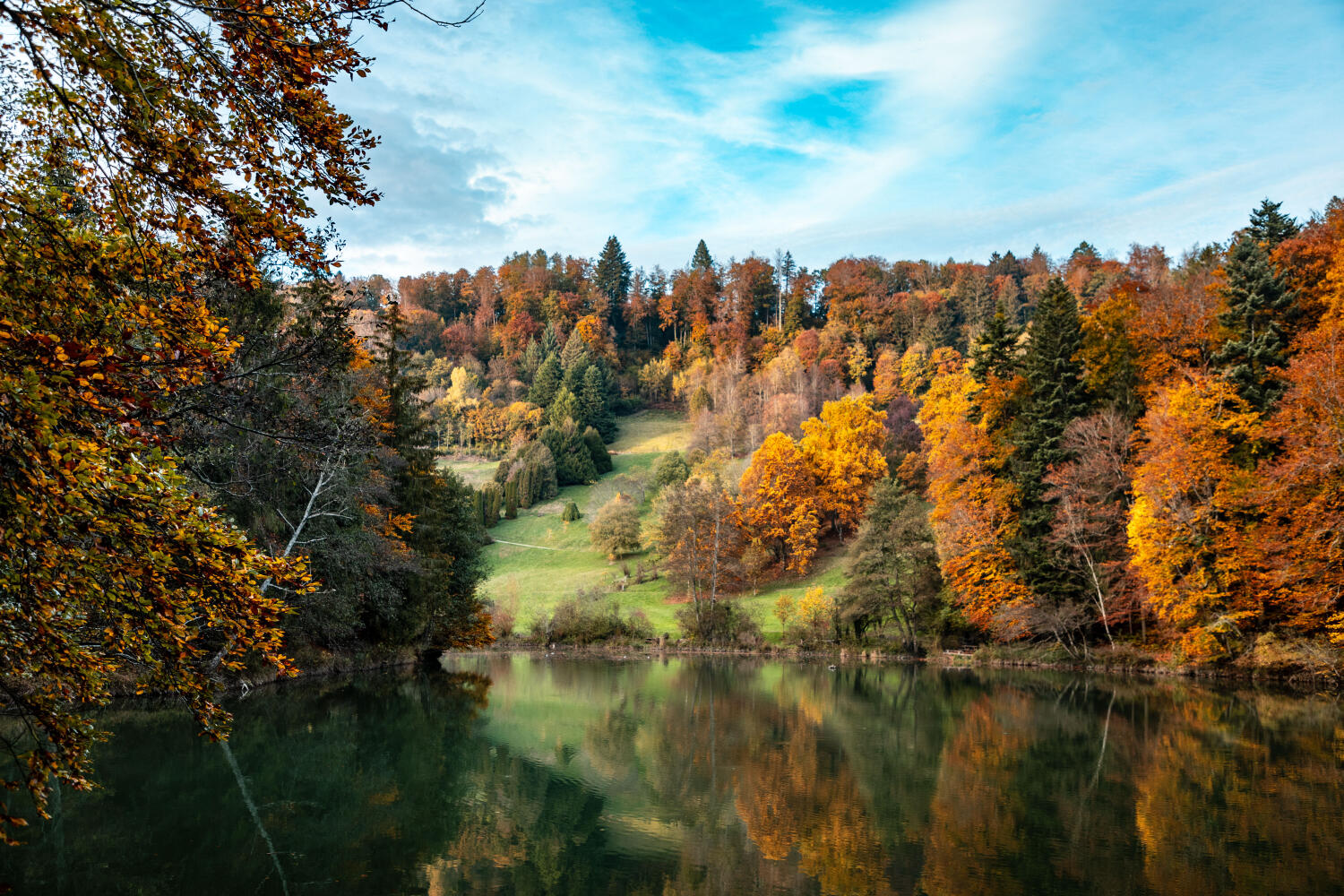 lac de l'Arboretum d'Aubonne, avec les arbres aux couleurs d'Automne
