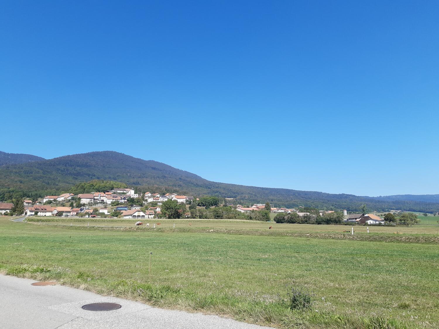 Balade découverte à Montricher