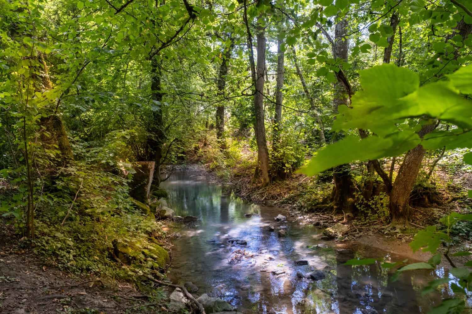 Sentier de la Morges – De l’eau aux moulins