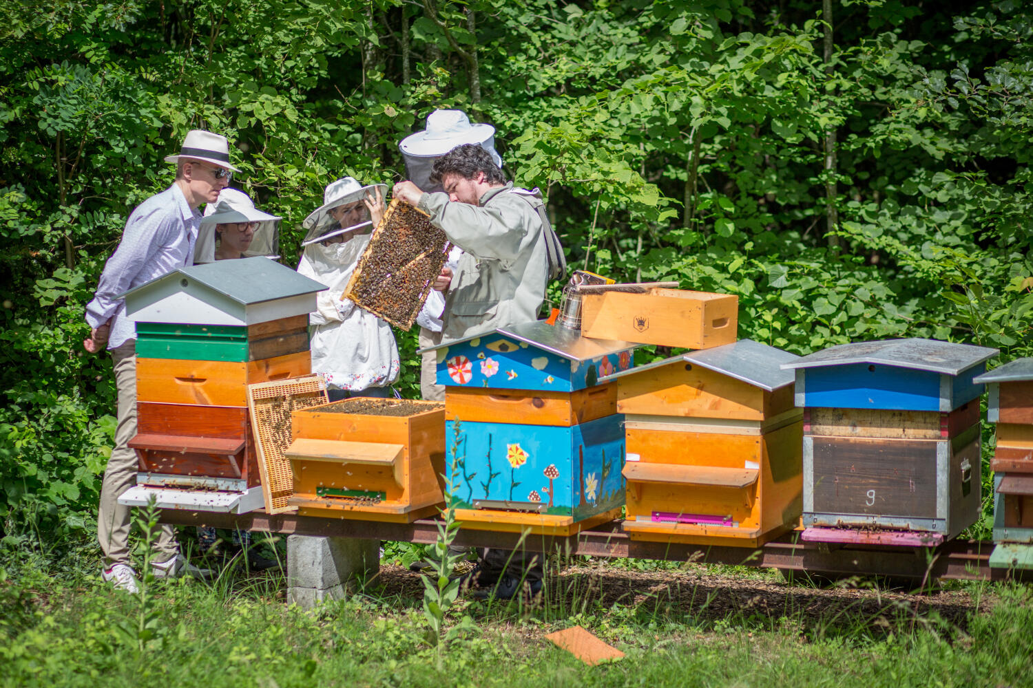 Association Mellifera