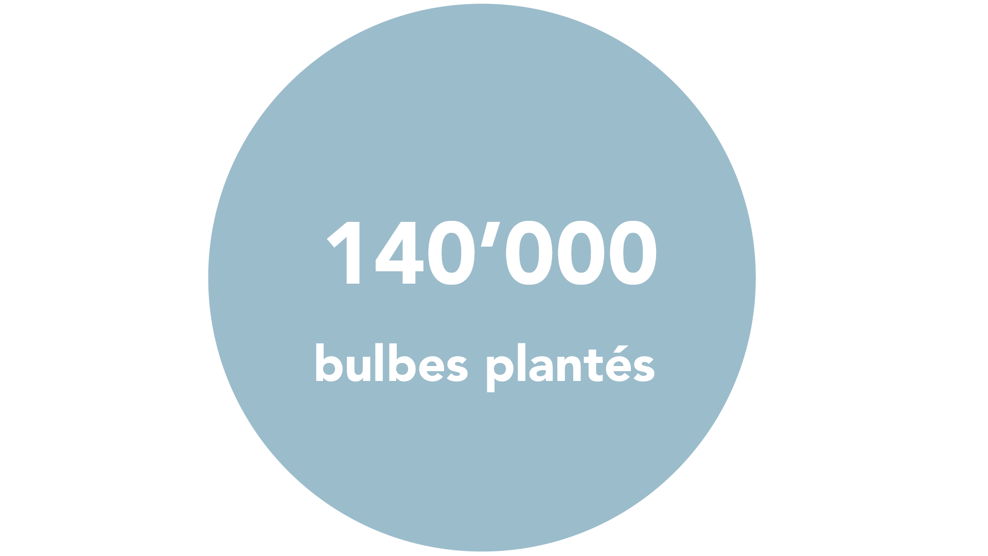 140'000 bulbes plantés dans le parc et en ville à Morges