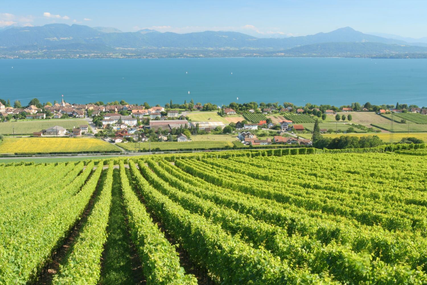 Commune de Bougy-Villars