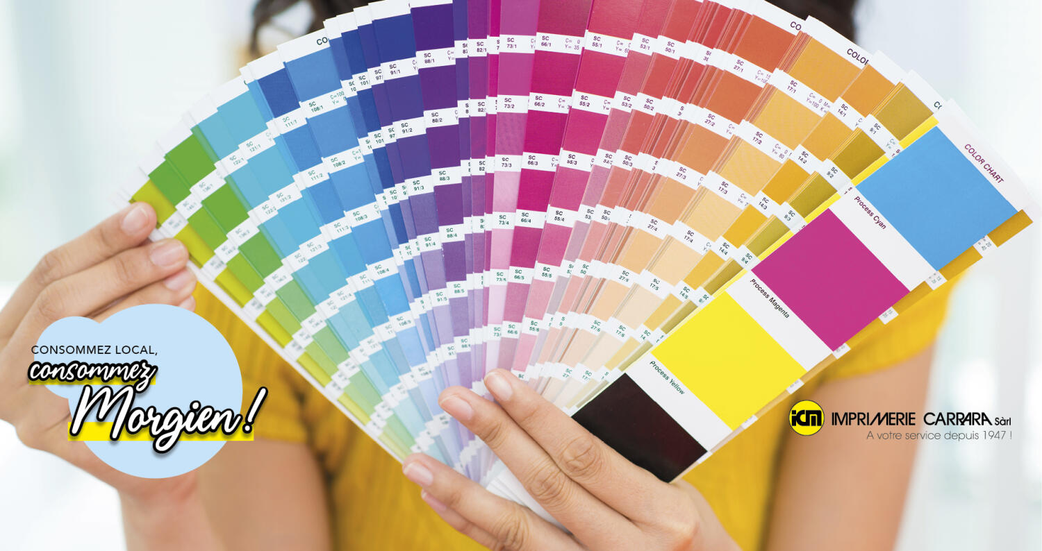 échantillons de couleurs