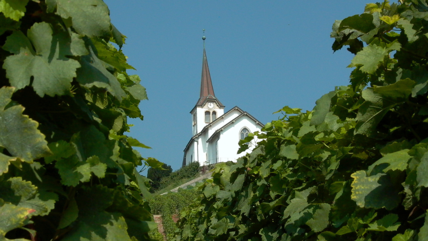 Eglise de Féchy