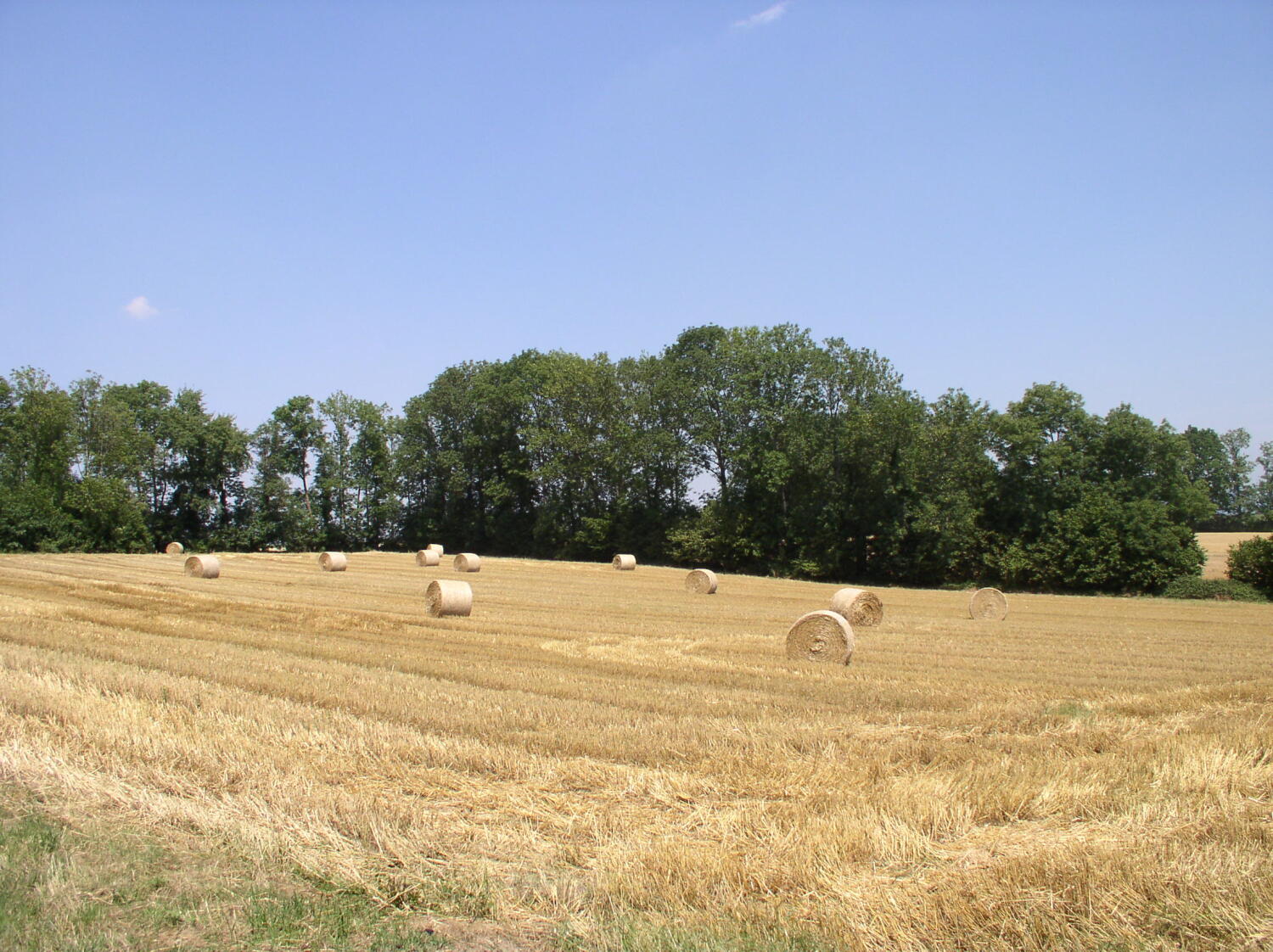 Gemeinde Vaux-sur-Morges