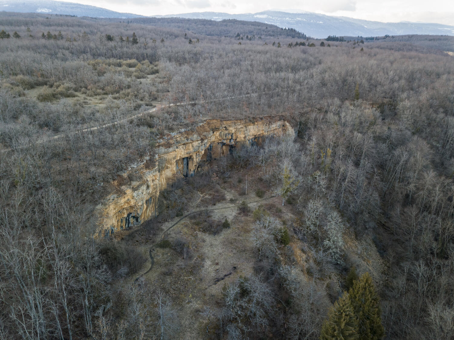 La Carrière Jaune
