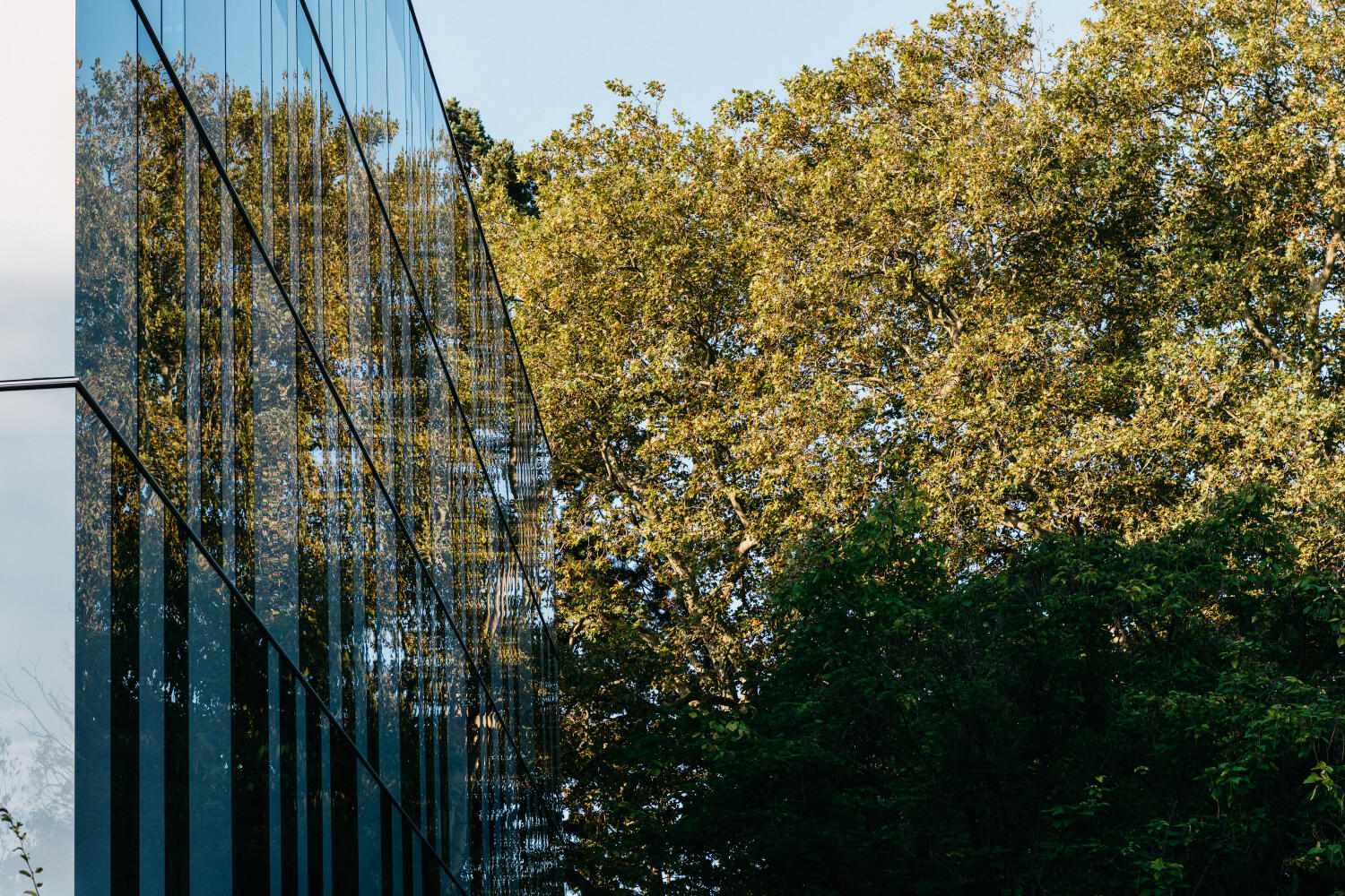 Parc des essences rares