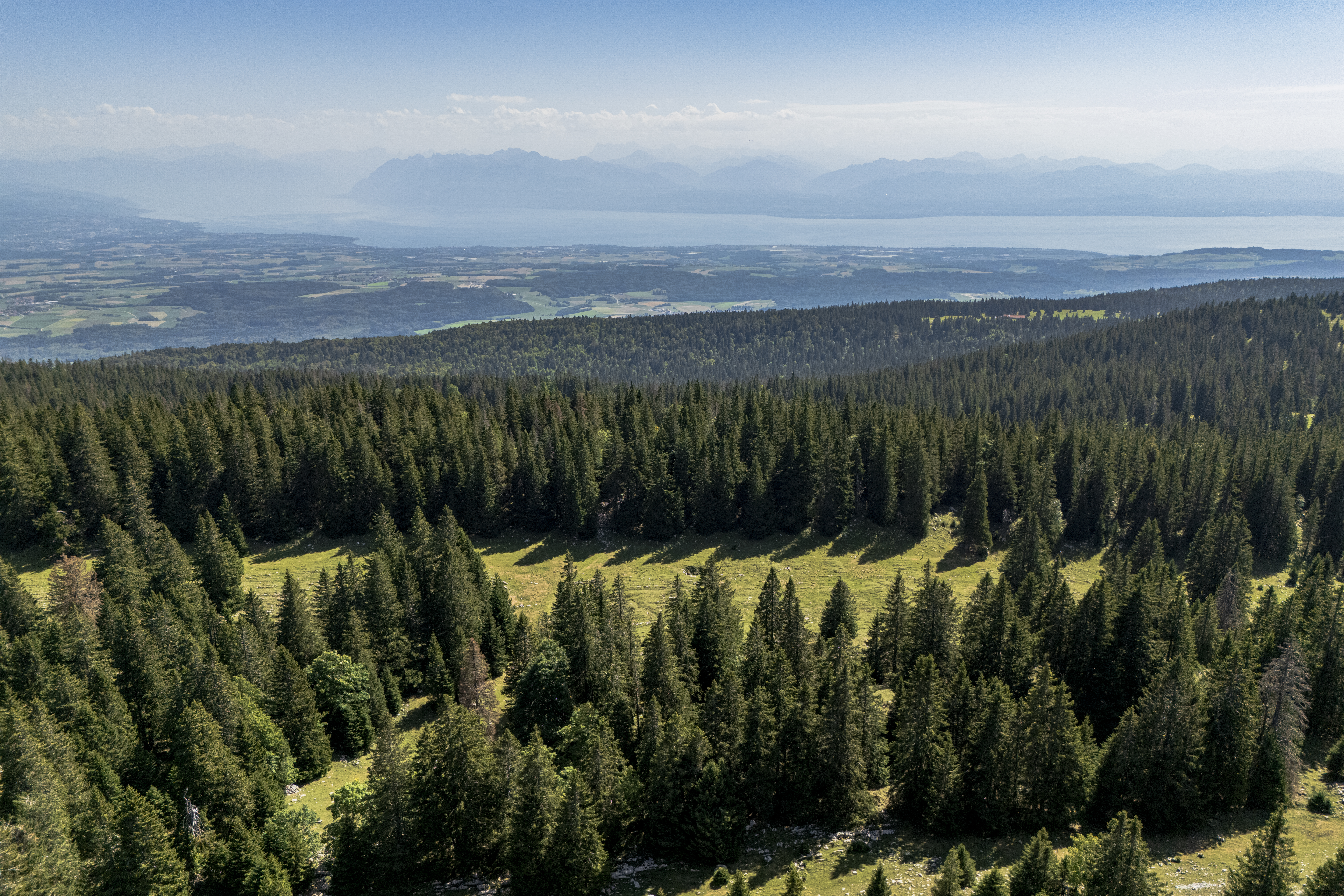 vue du sommet du Jura vaudois